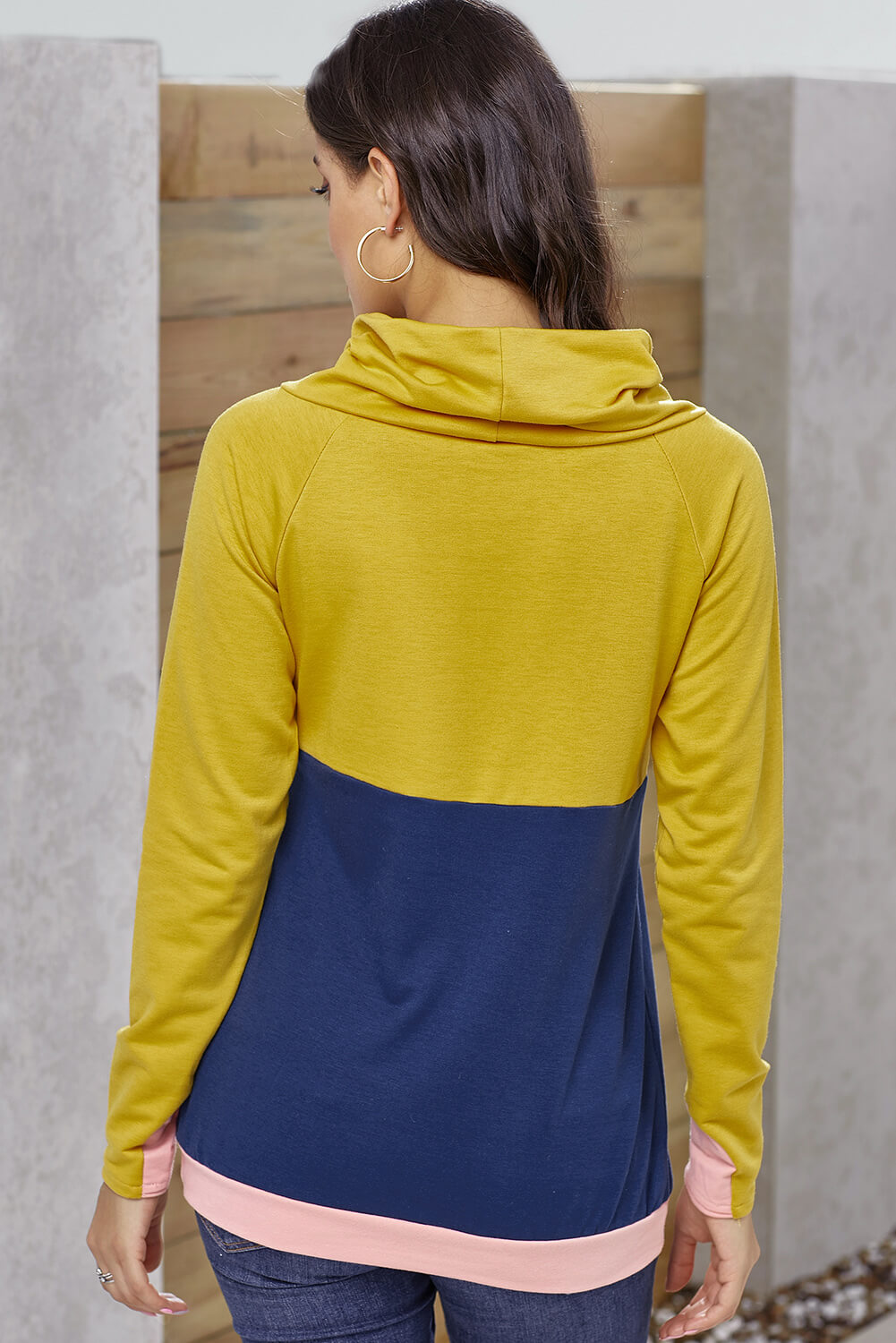 Color Block Raglan Sleeve Drawstring Sweatshirt