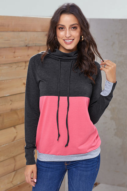 Color Block Raglan Sleeve Drawstring Sweatshirt